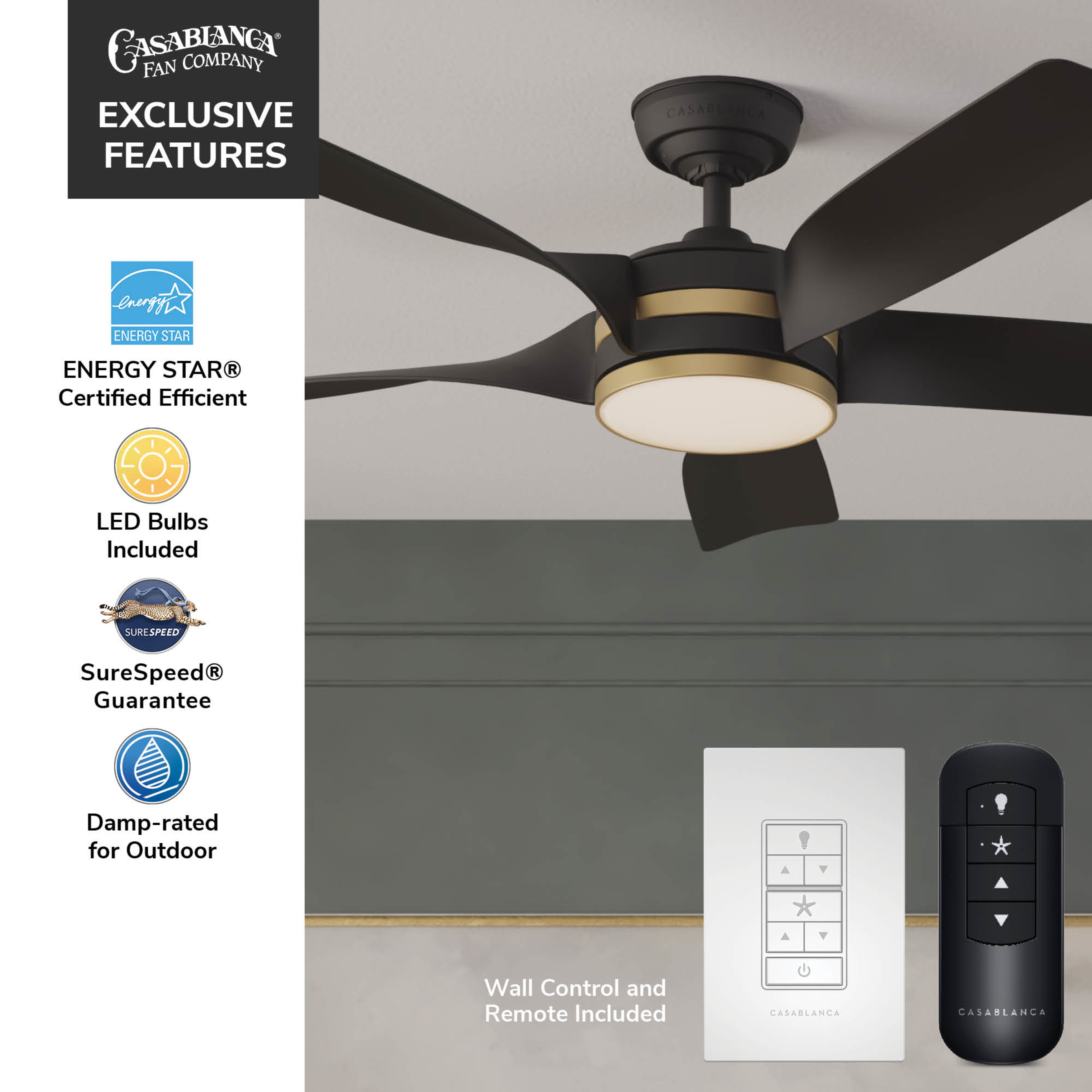 Julia Outdoor Energy Star DC with LED Light 54 inch with remote and wall control
