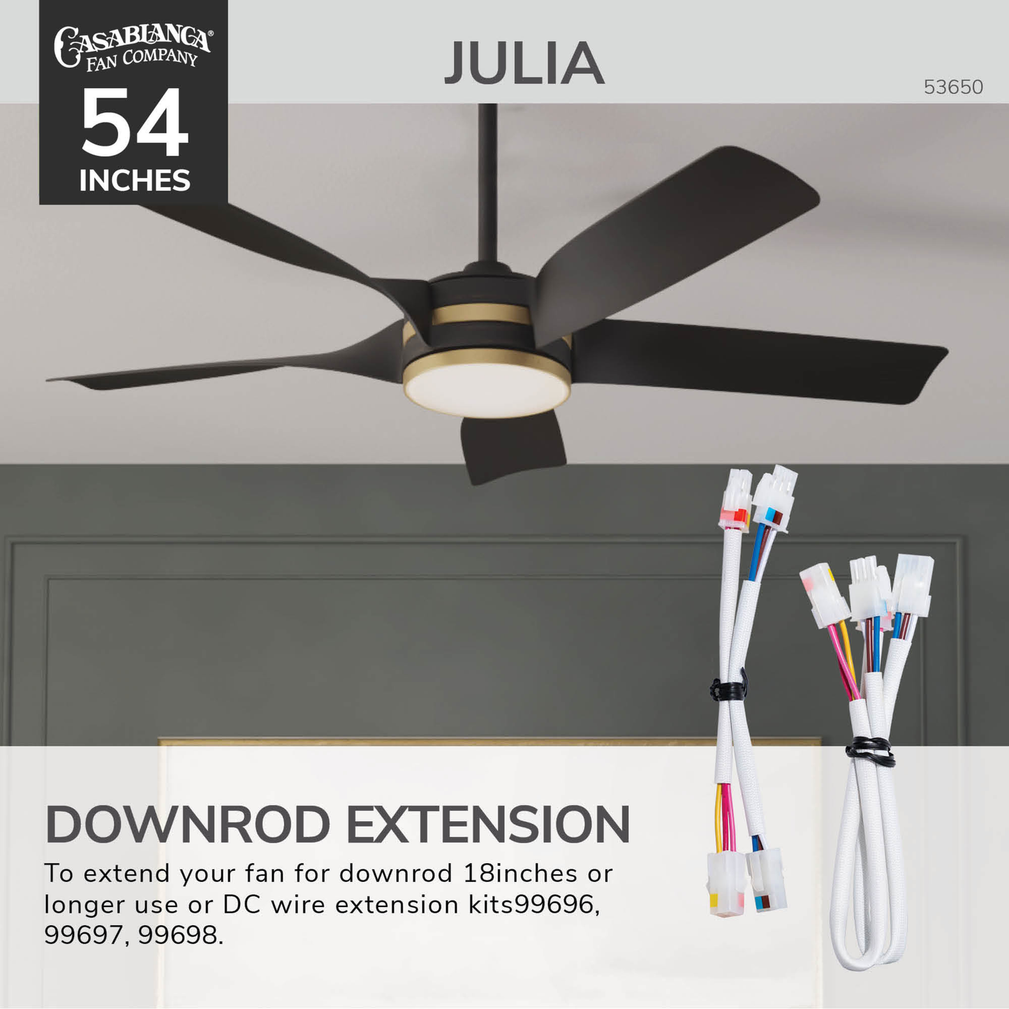 Julia Outdoor Energy Star DC with LED Light 54 inch with remote and wall control