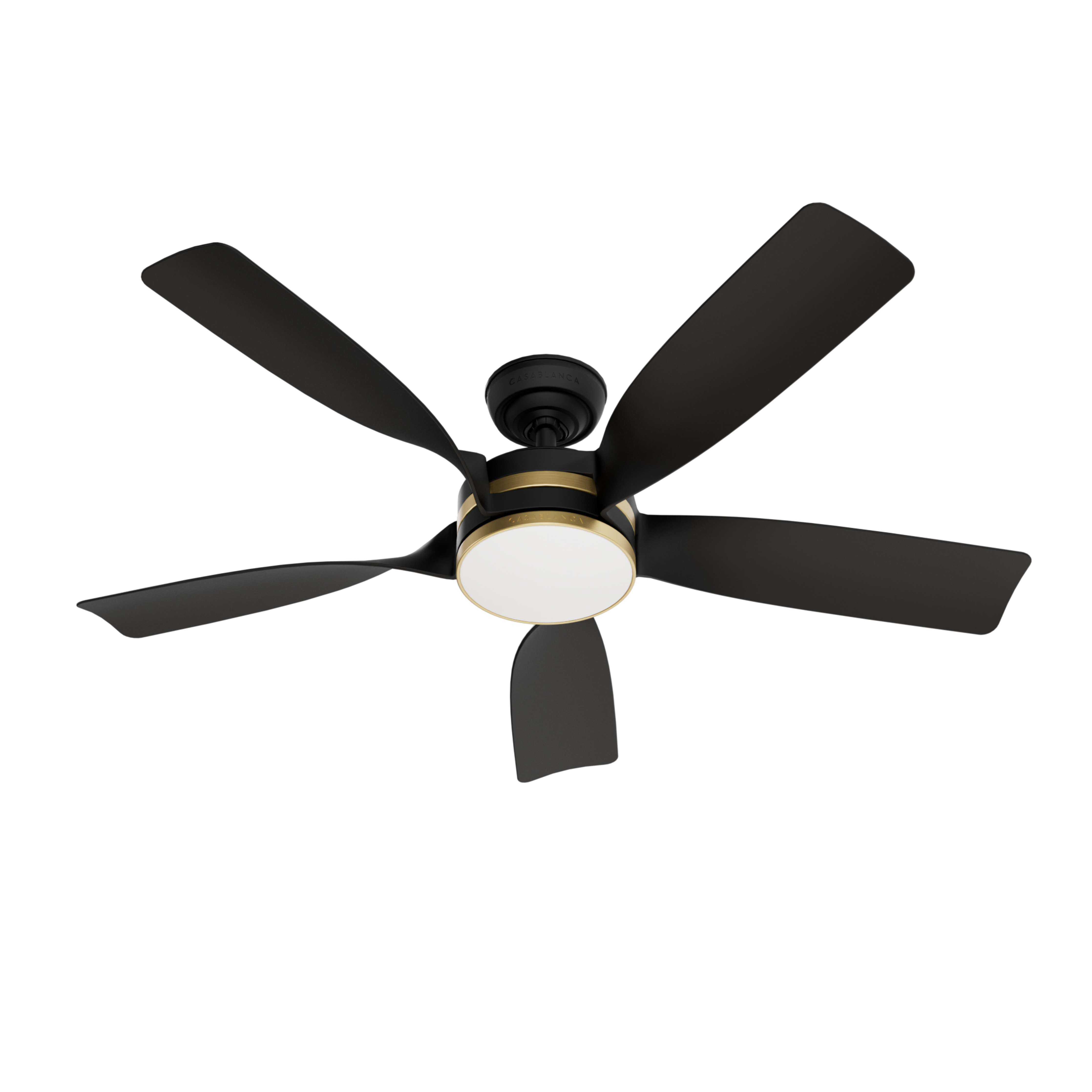 Julia Outdoor Energy Star DC with LED Light 54 inch with remote and wall control