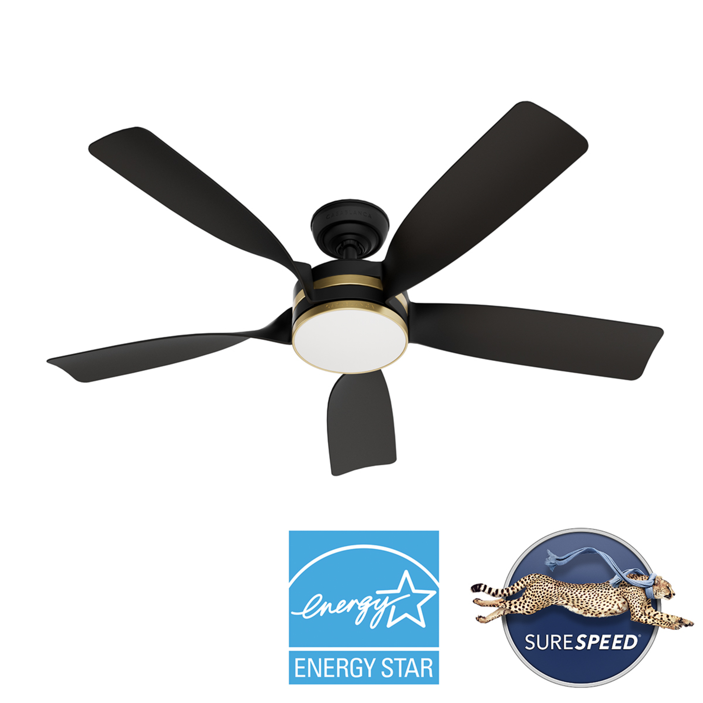 Julia Outdoor Energy Star DC with LED Light 54 inch with remote and wall control