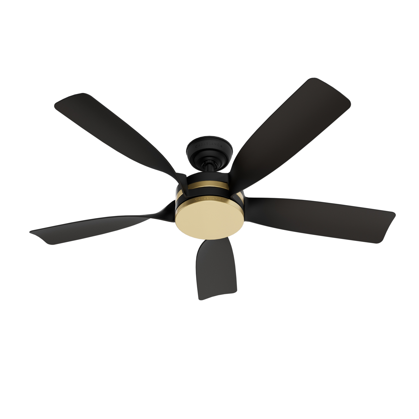 Julia Outdoor Energy Star DC with LED Light 54 inch with remote and wall control