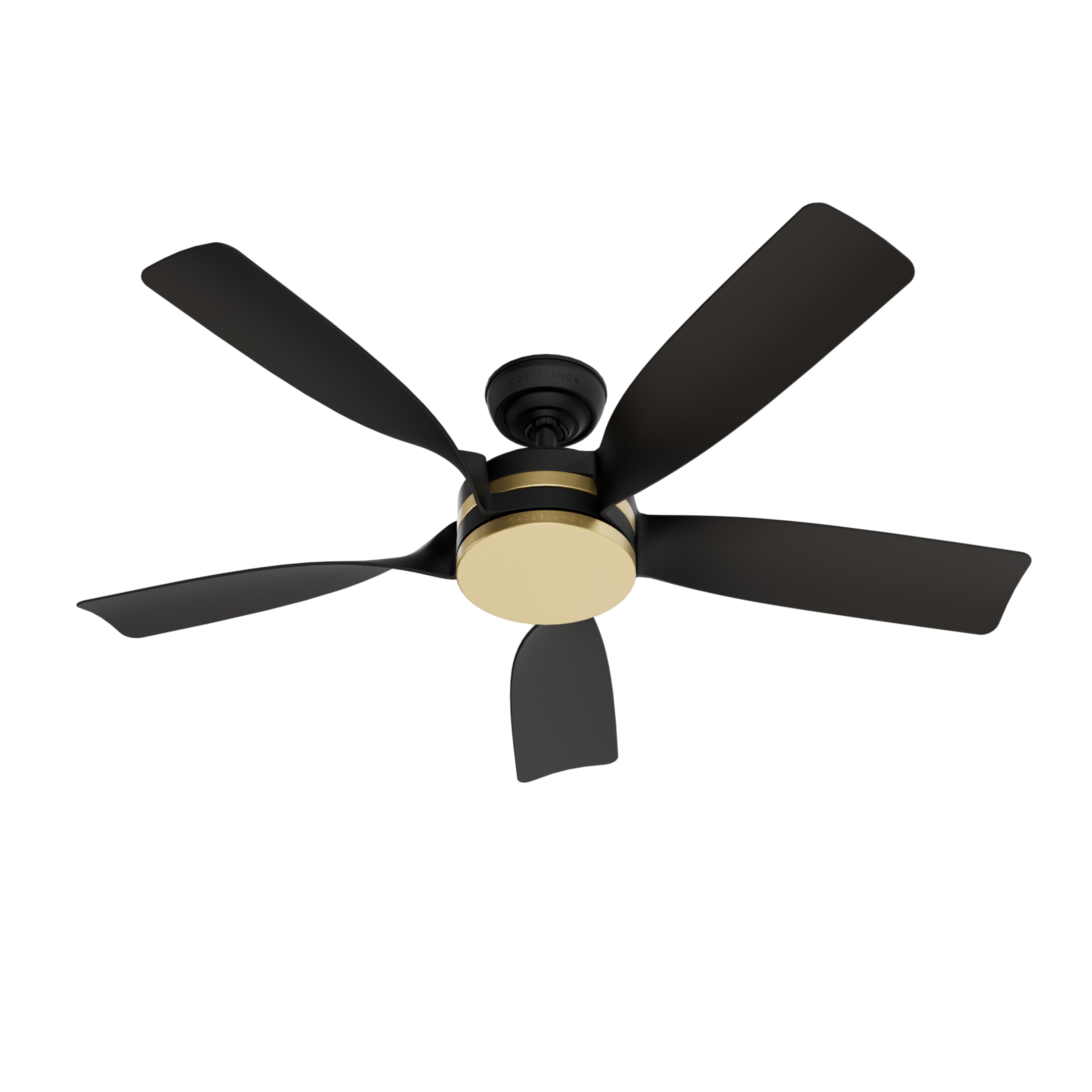 Julia Outdoor Energy Star DC with LED Light 54 inch with remote and wall control