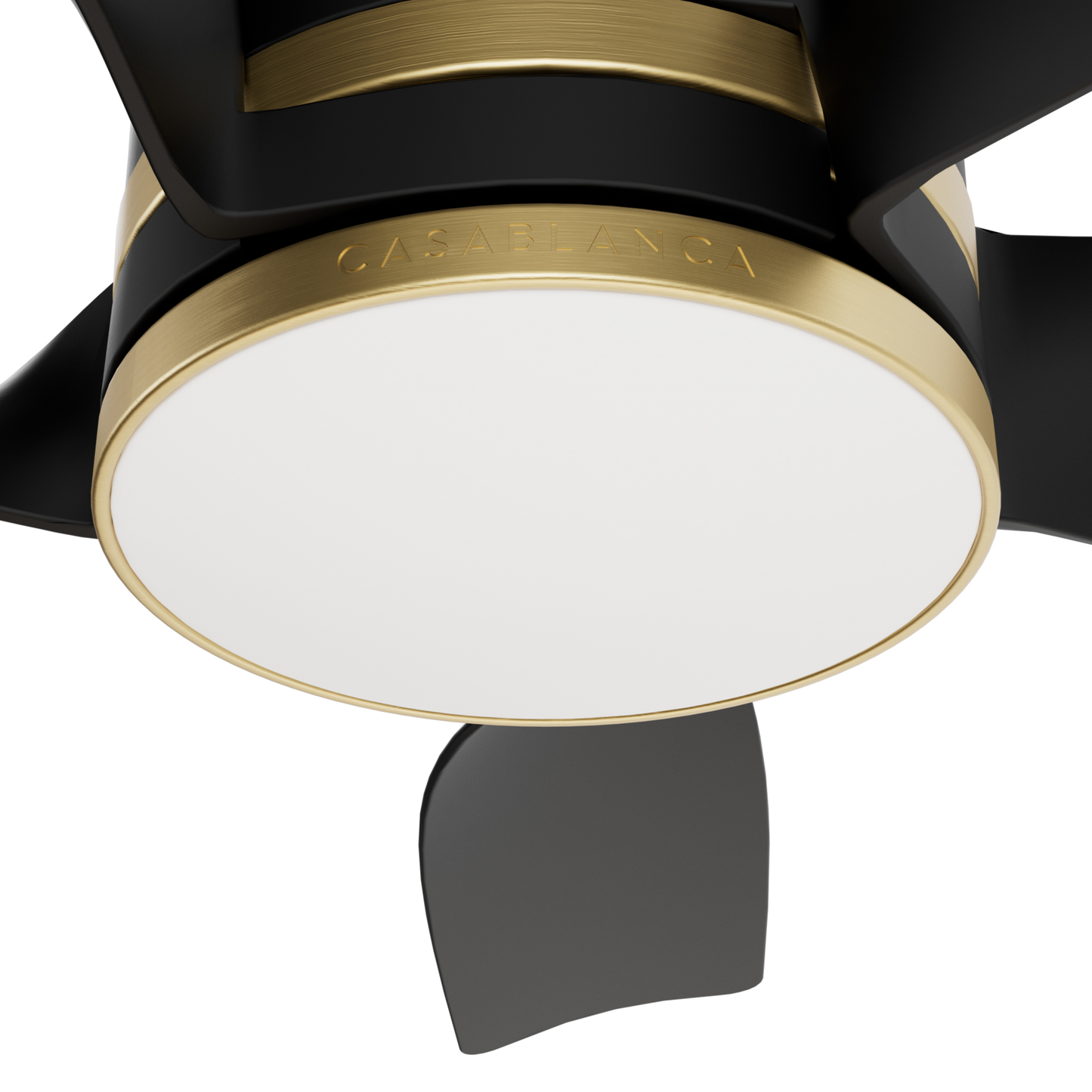 Julia Outdoor Energy Star DC with LED Light 54 inch with remote and wall control