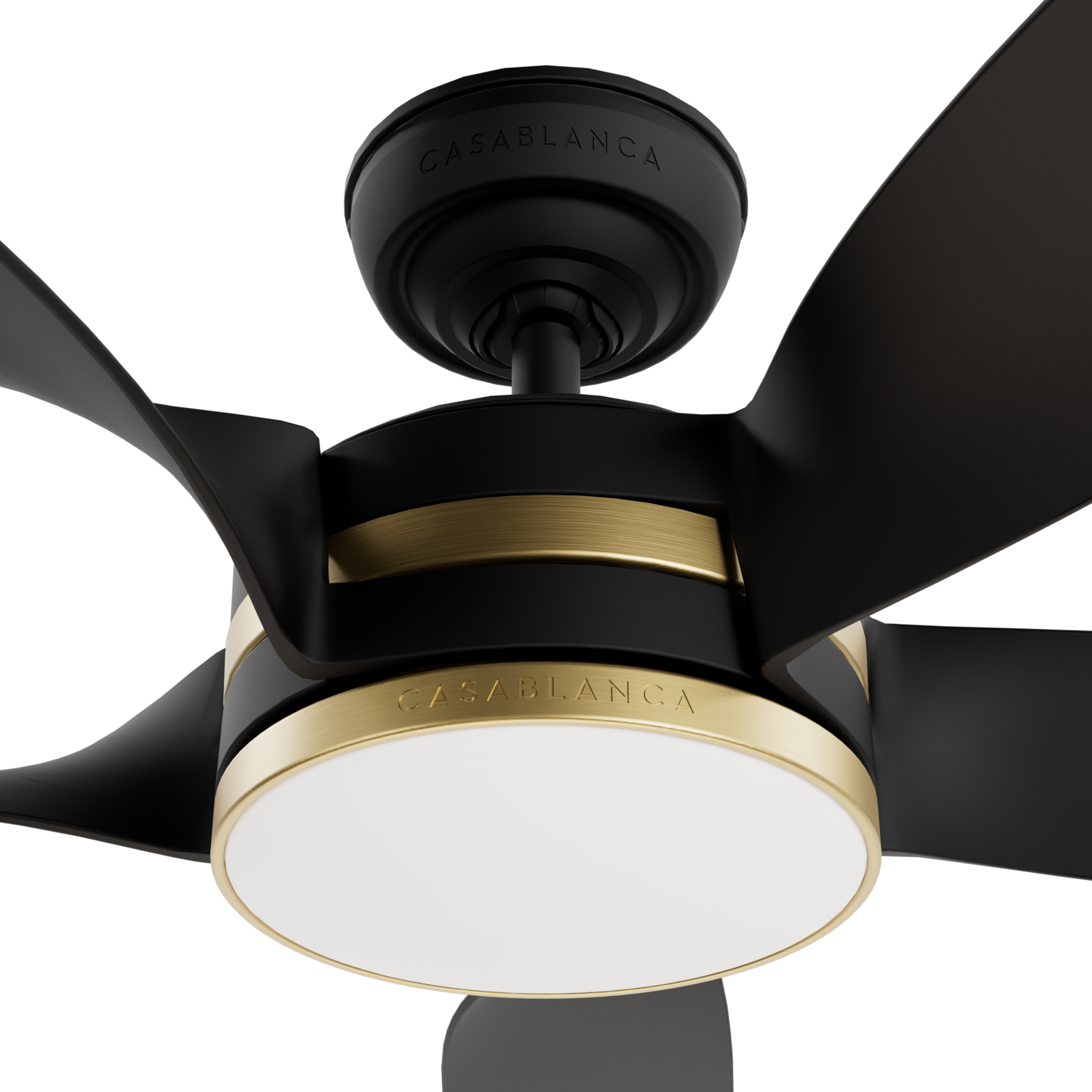 Julia Outdoor Energy Star DC with LED Light 54 inch with remote and wall control