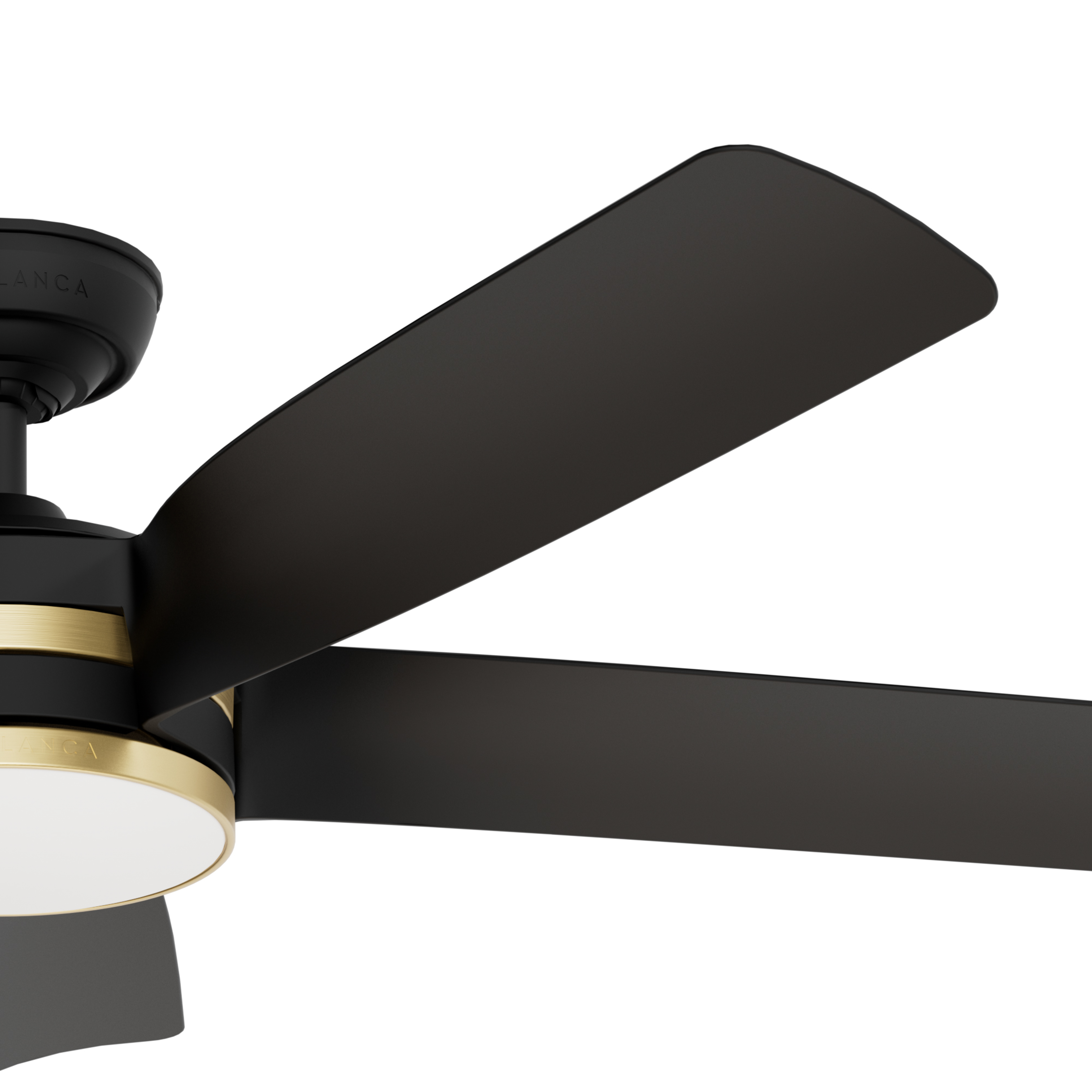 Julia Outdoor Energy Star DC with LED Light 54 inch with remote and wall control