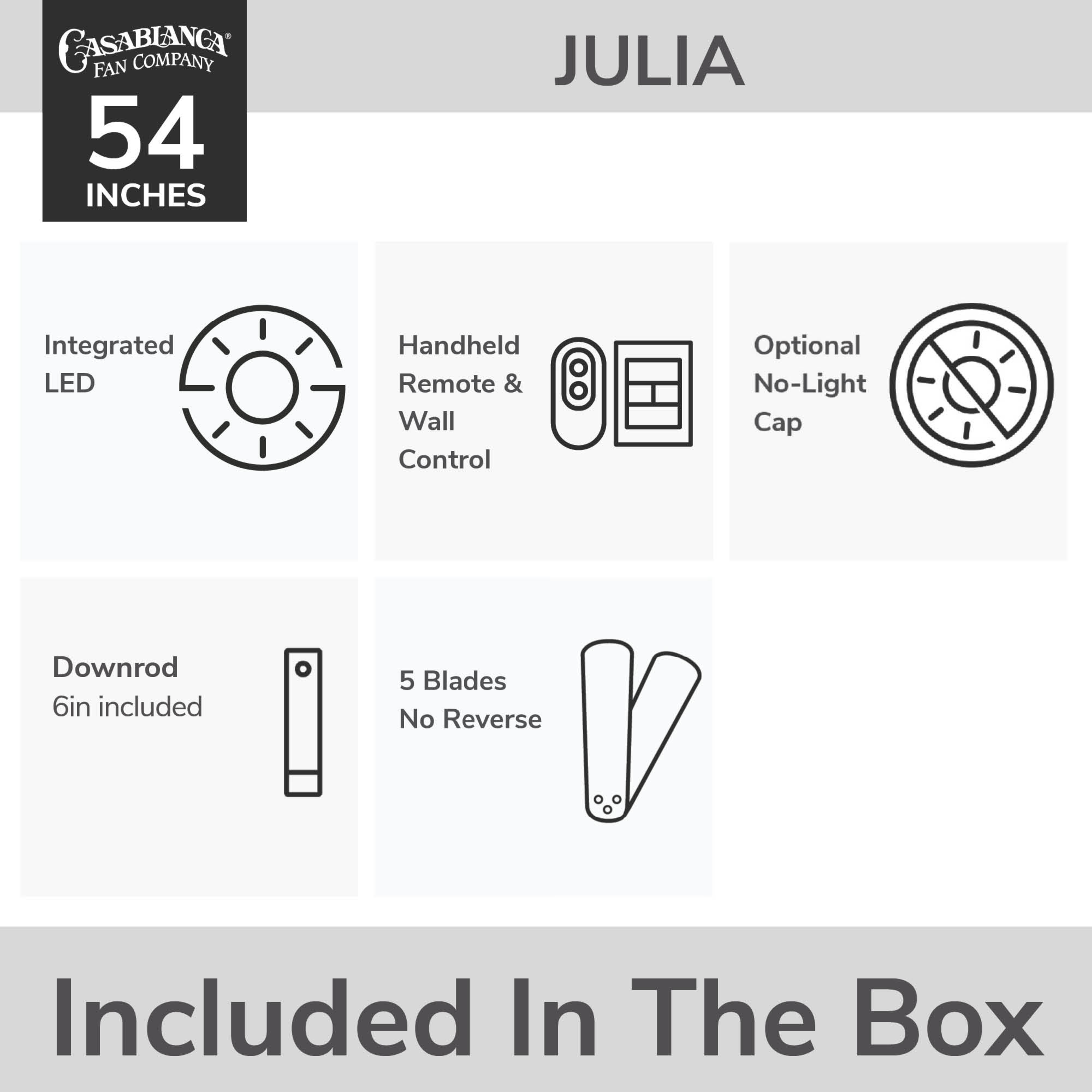 Julia Outdoor Energy Star DC with LED Light 54 inch with remote and wall control