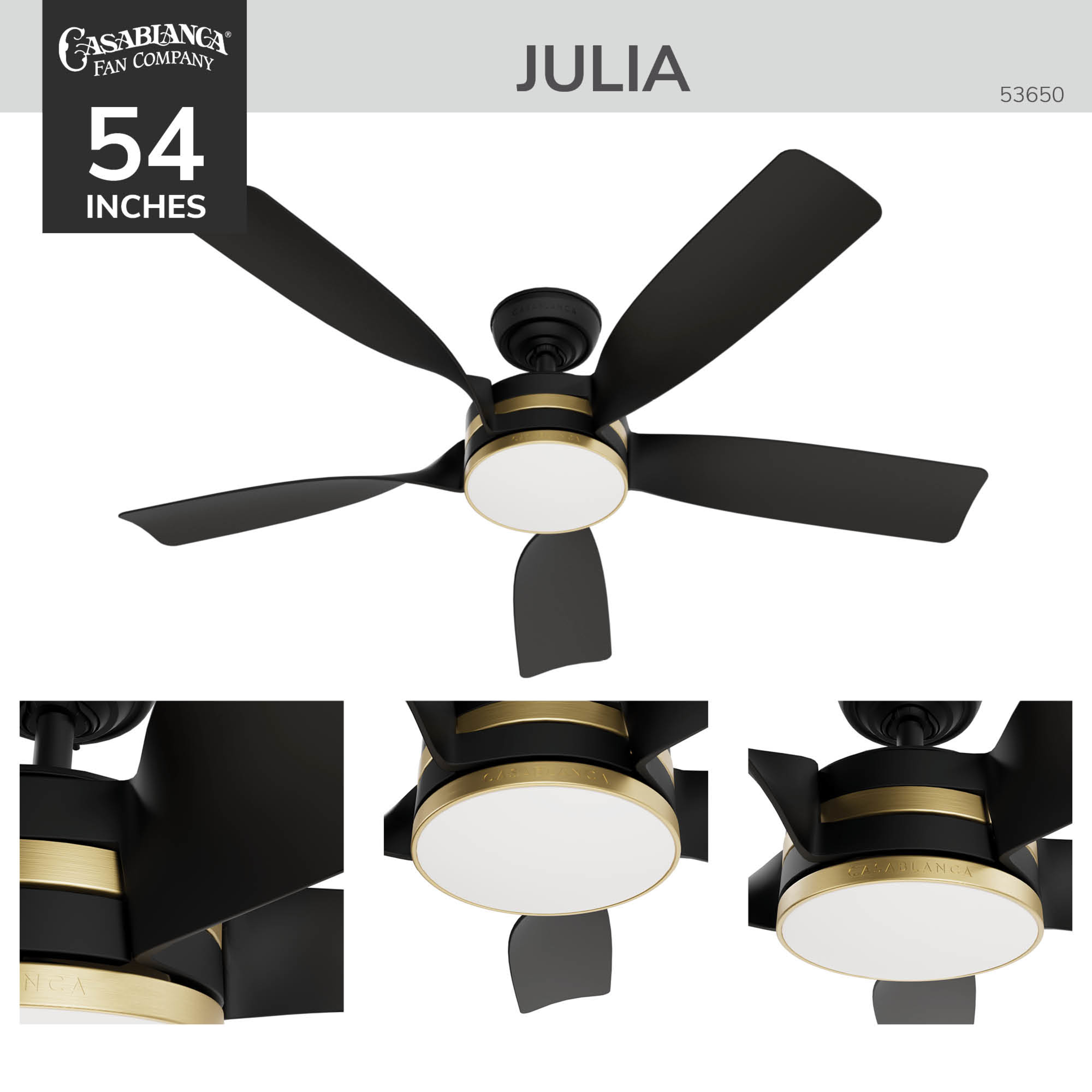 Julia Outdoor Energy Star DC with LED Light 54 inch with remote and wall control