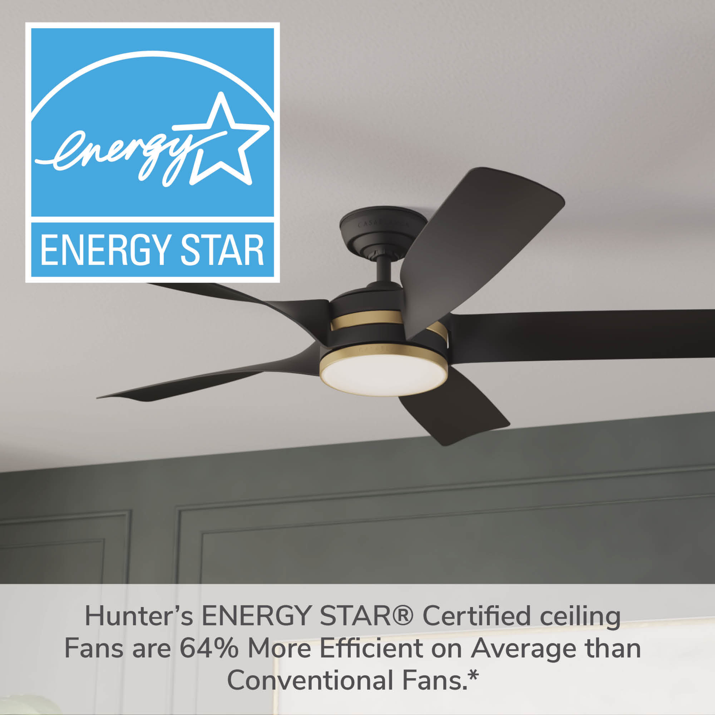 Julia Outdoor Energy Star DC with LED Light 54 inch with remote and wall control