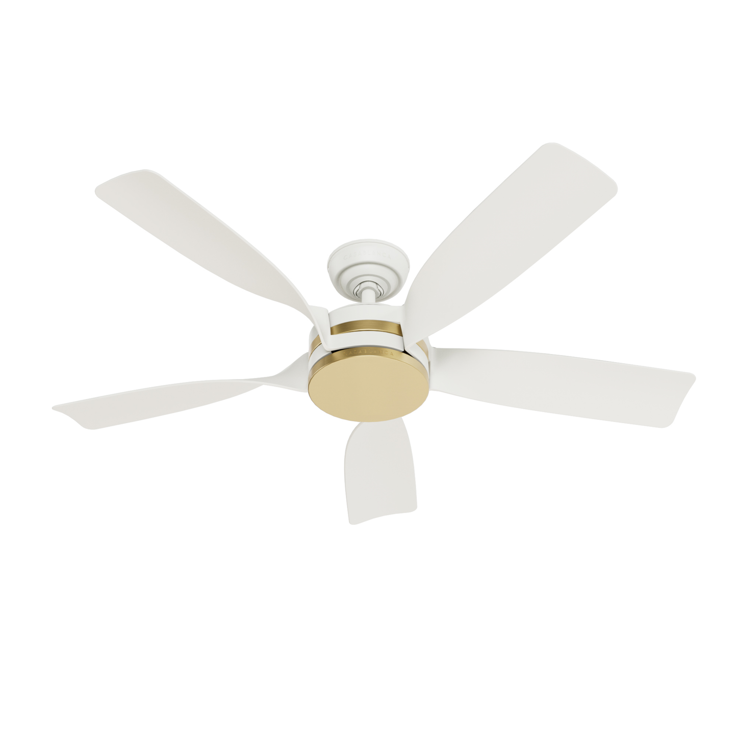 Julia Outdoor Energy Star DC with LED Light 54 inch with remote and wall control