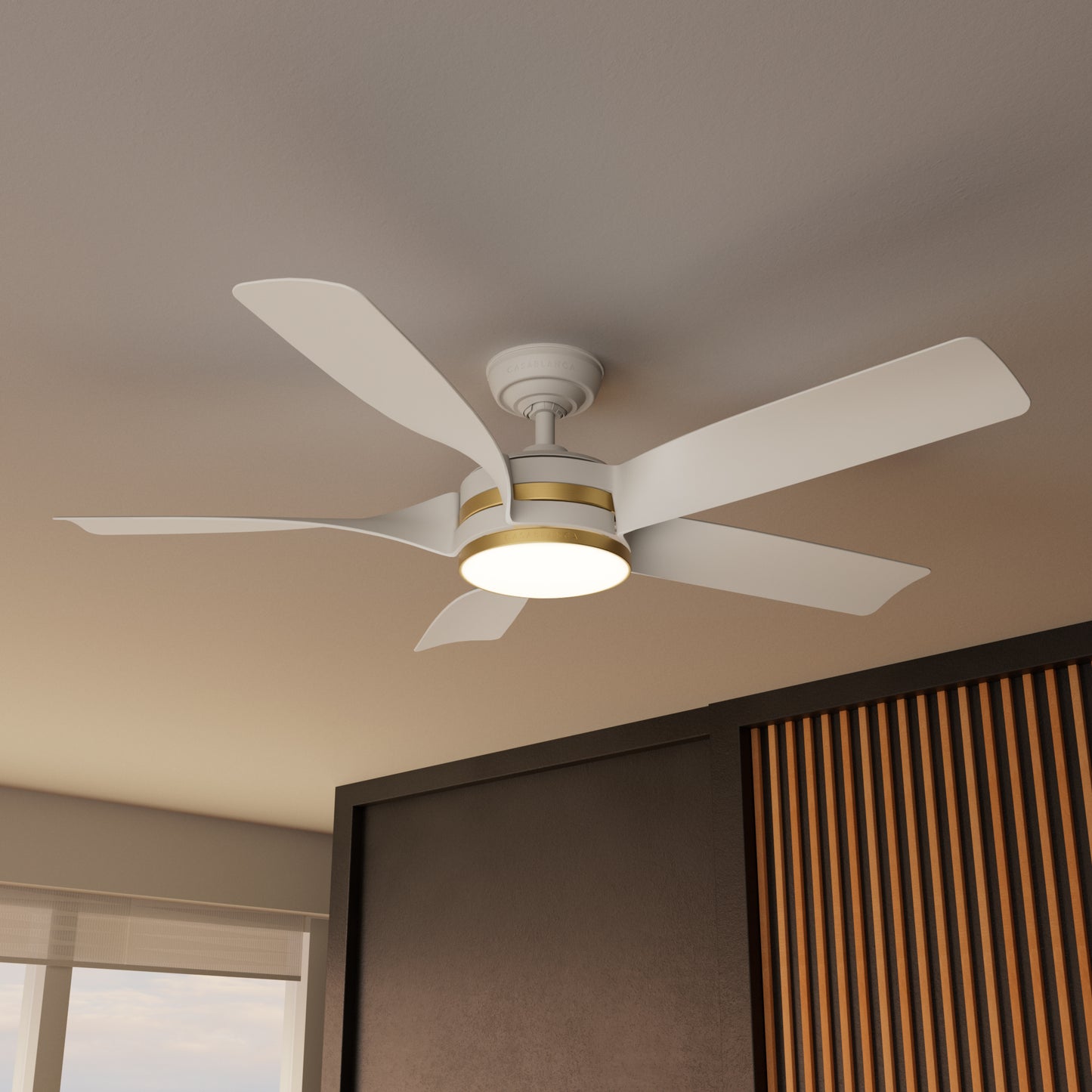 Julia Outdoor Energy Star DC with LED Light 54 inch with remote and wall control