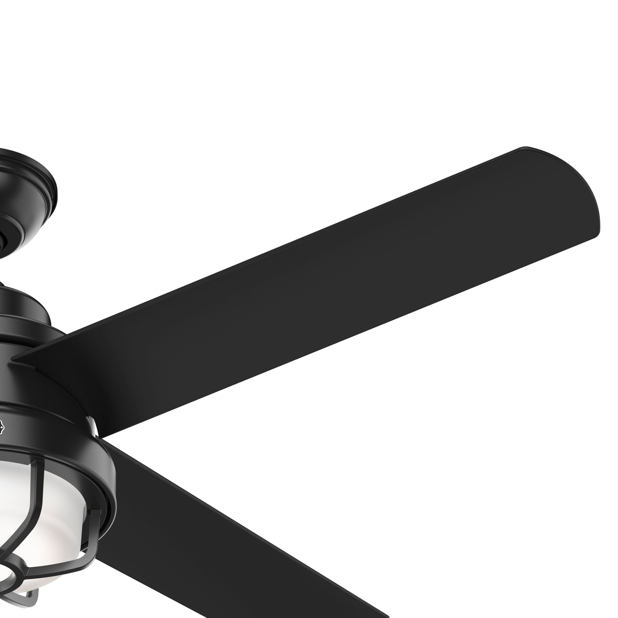 Searow Outdoor with LED Light 54 inch