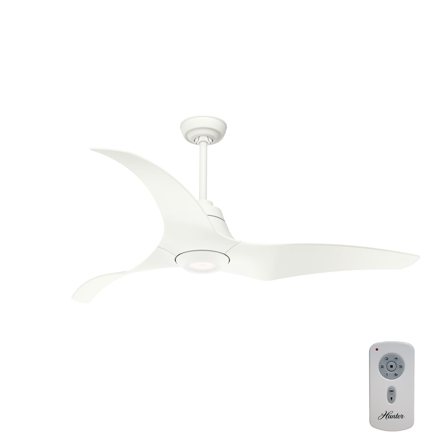 Stingray Outdoor ENERGY STAR DC with LED Light 60 inch with remote