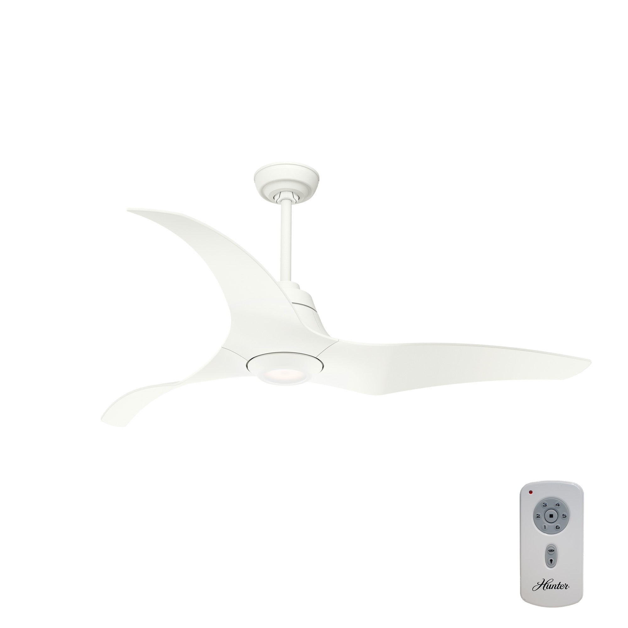 Stingray Outdoor ENERGY STAR DC with LED Light 60 inch with remote