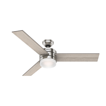 Exeter with Light 54 inch (Refurbished)
