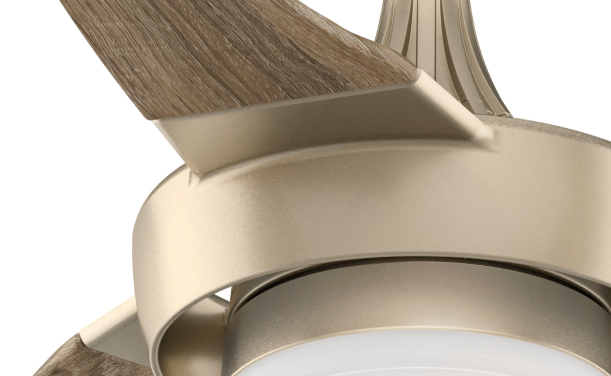 Perseus Outdoor with LED Light 64 inch