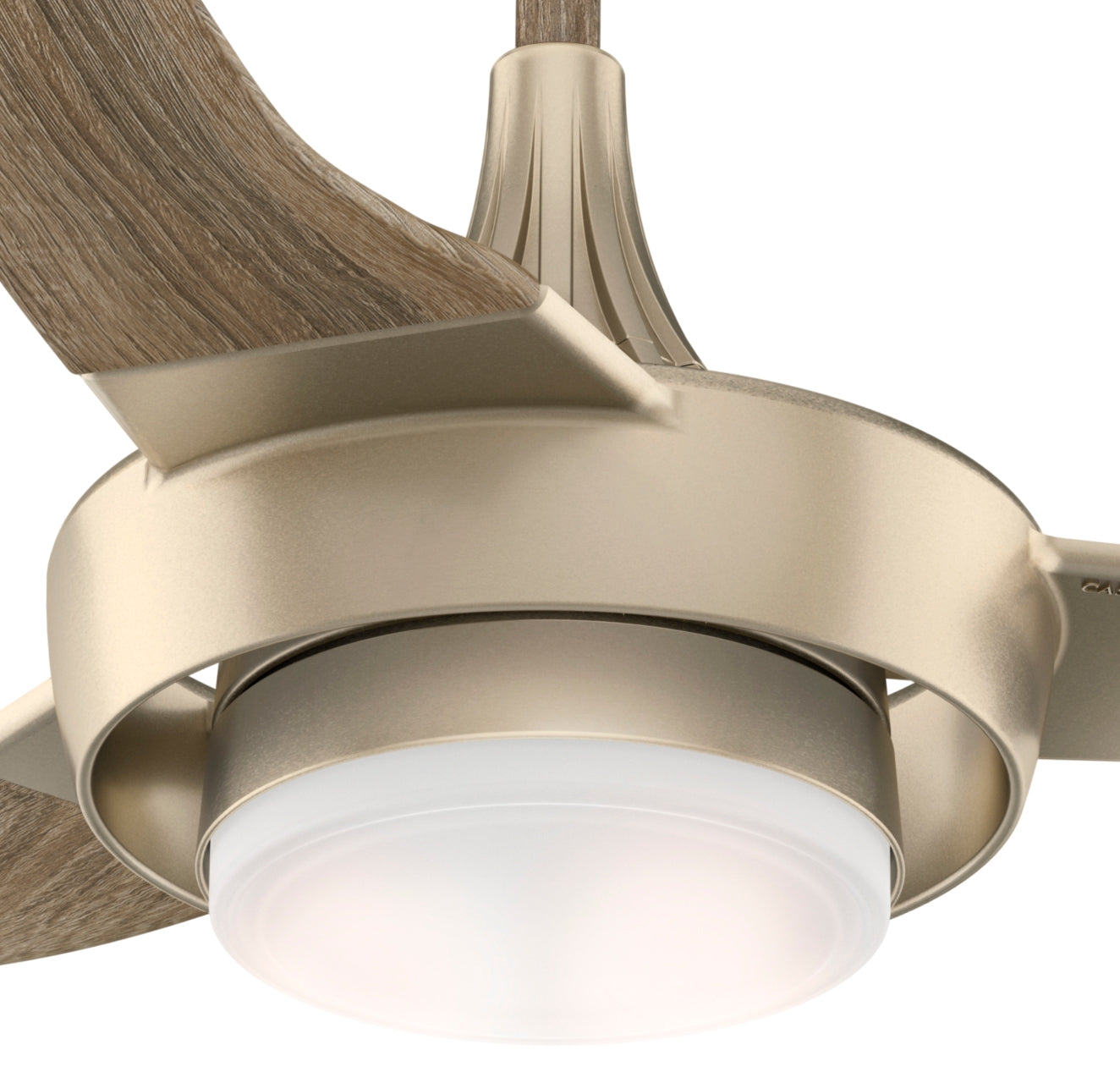 Perseus Outdoor with LED Light 64 inch