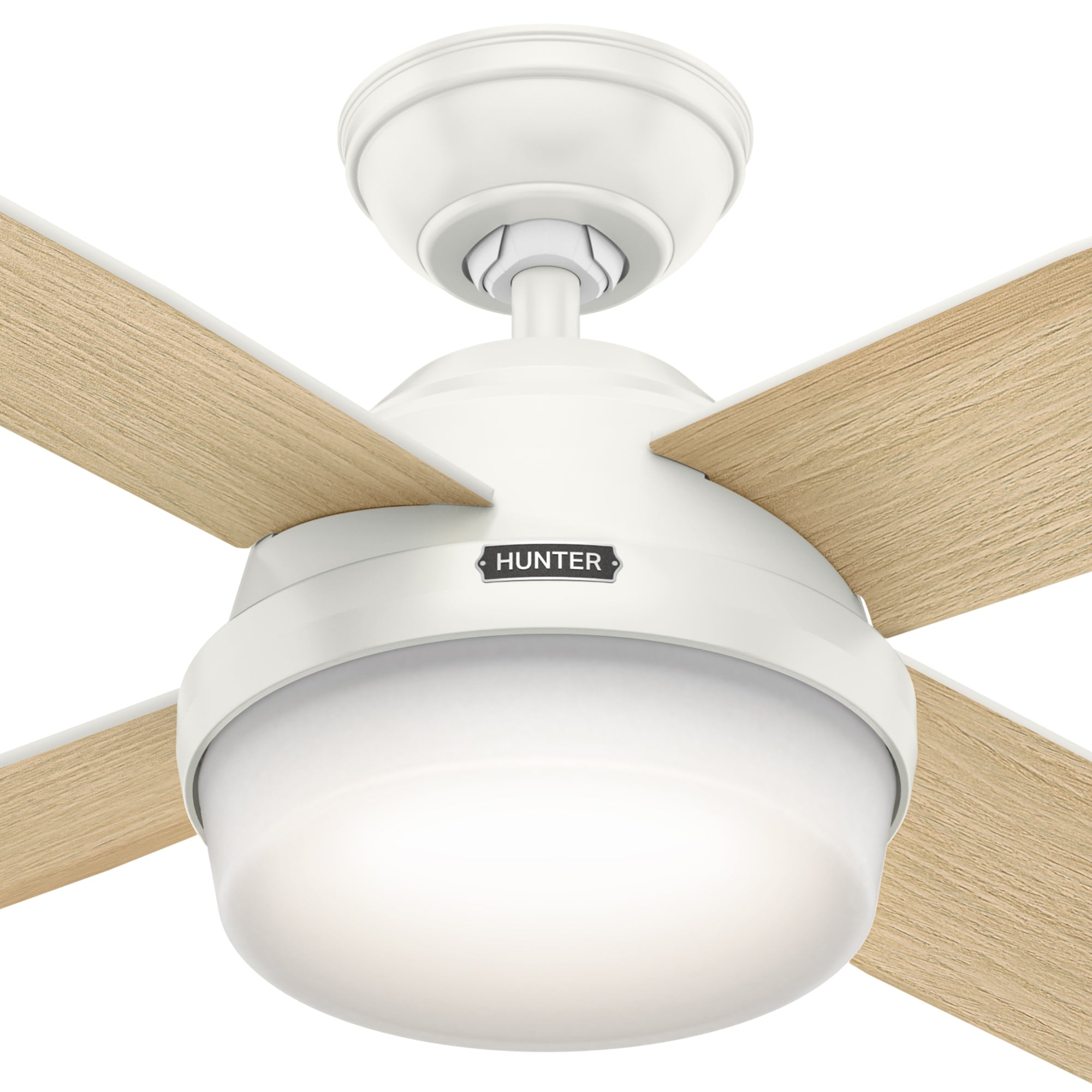 Dempsey with Light 52 inch
