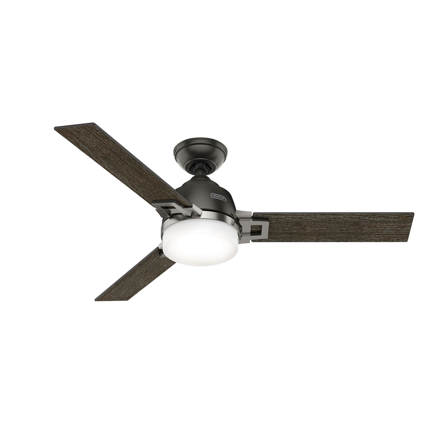 Leoni with Light 48 inch