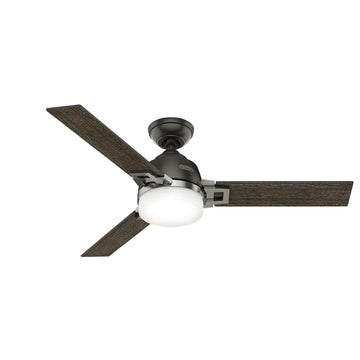 Leoni with Light 48 inch