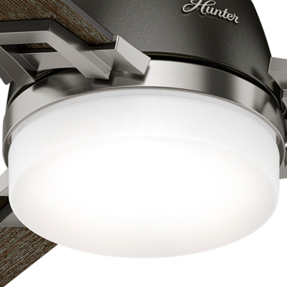 Leoni with Light 48 inch