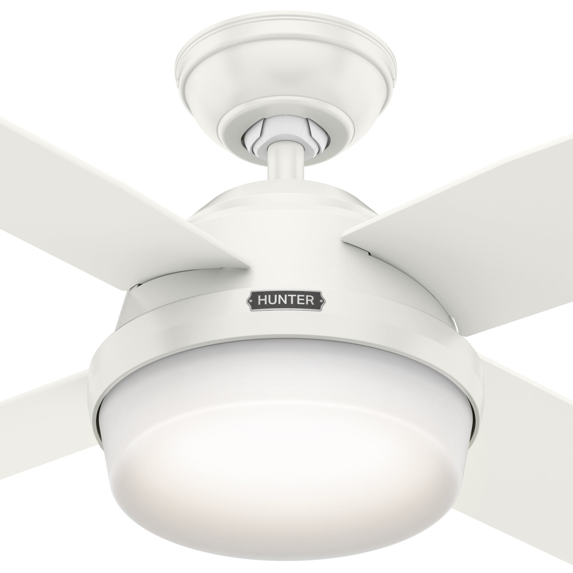 Dempsey with LED Light 44 inch
