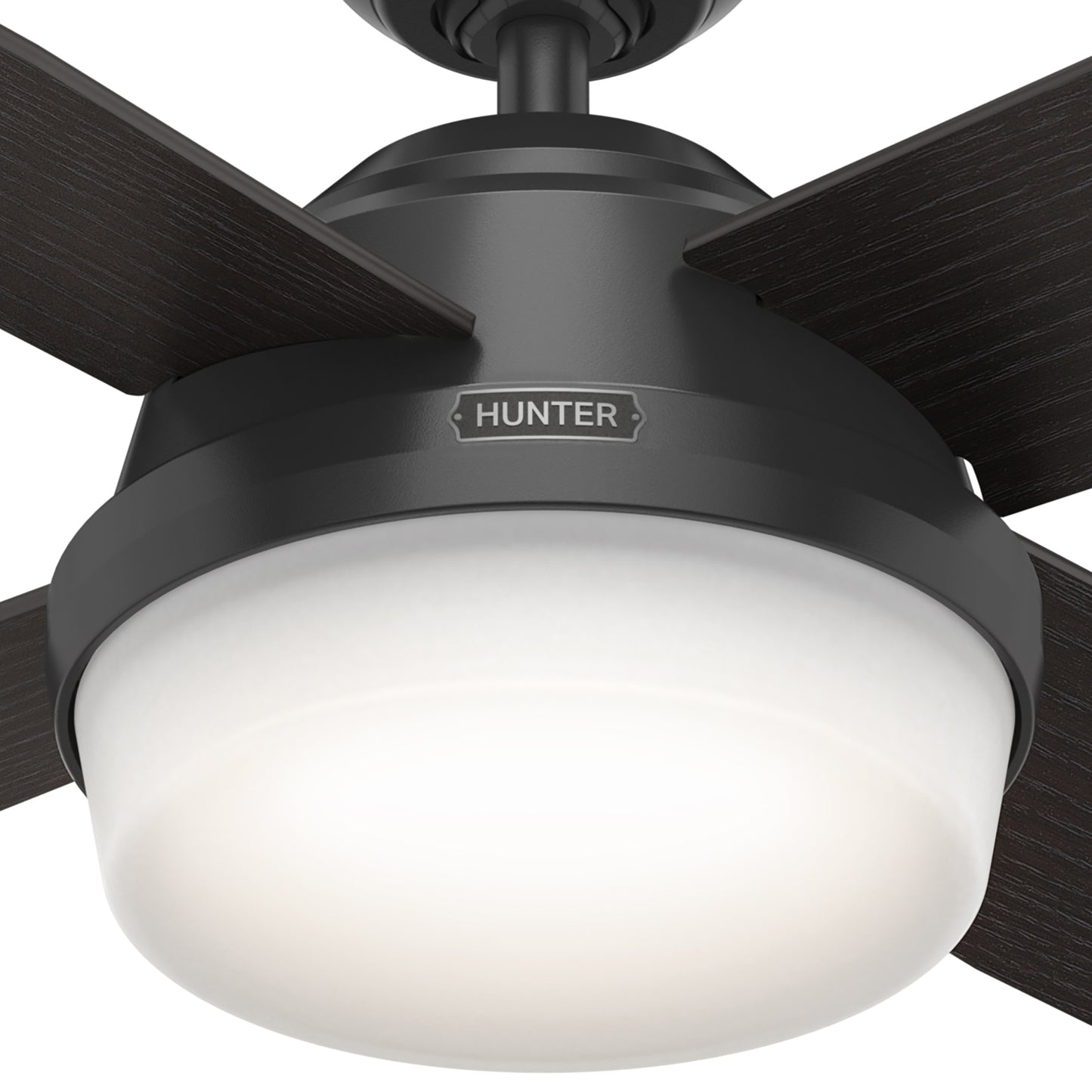 Dempsey Outdoor with Light 52 inch