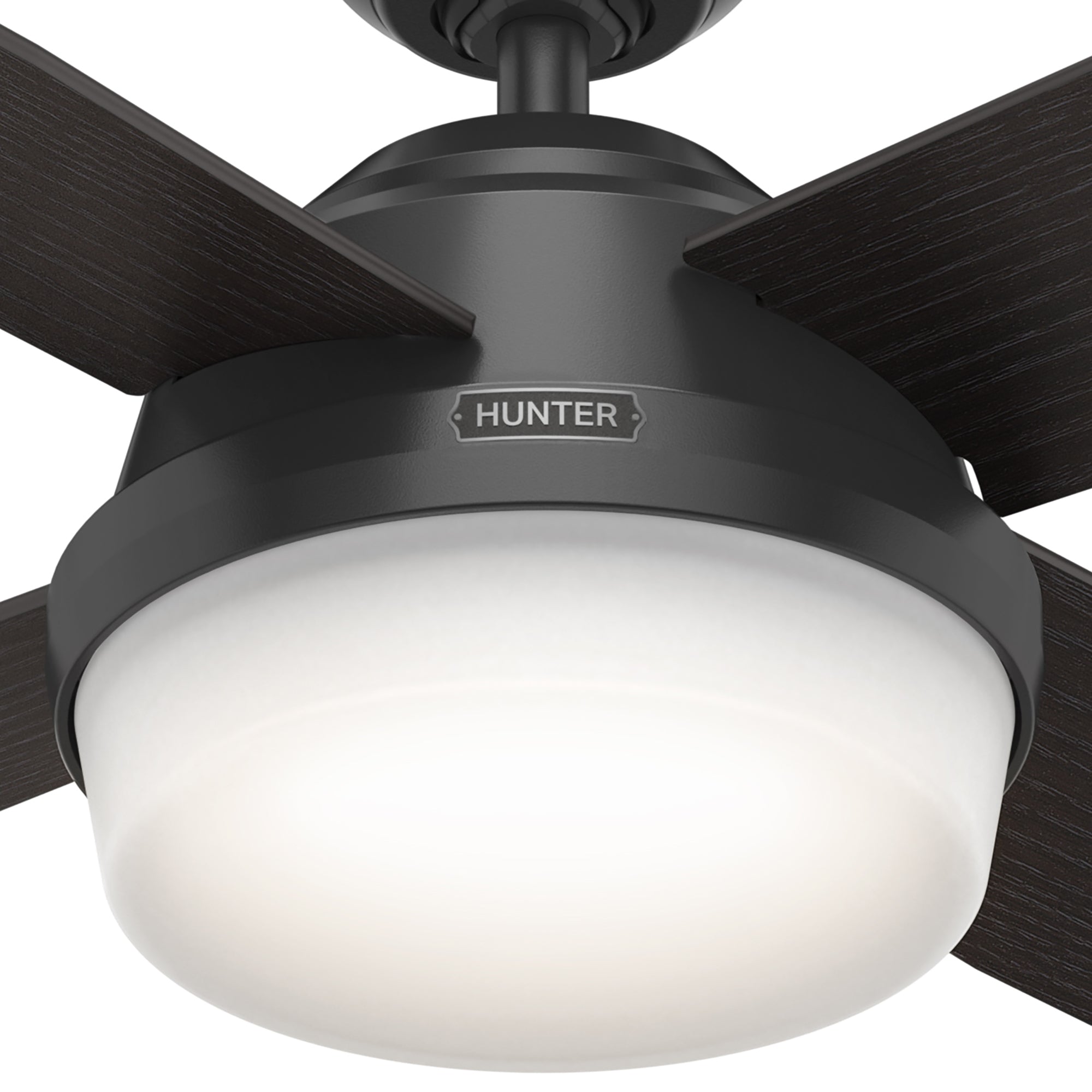 Dempsey Outdoor with Light 52 inch