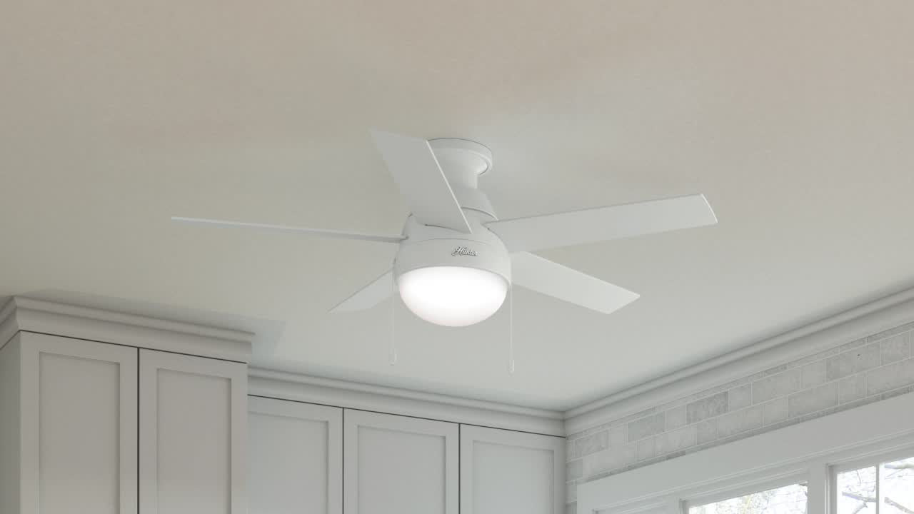 Anslee Low Profile with LED Light 46 inch