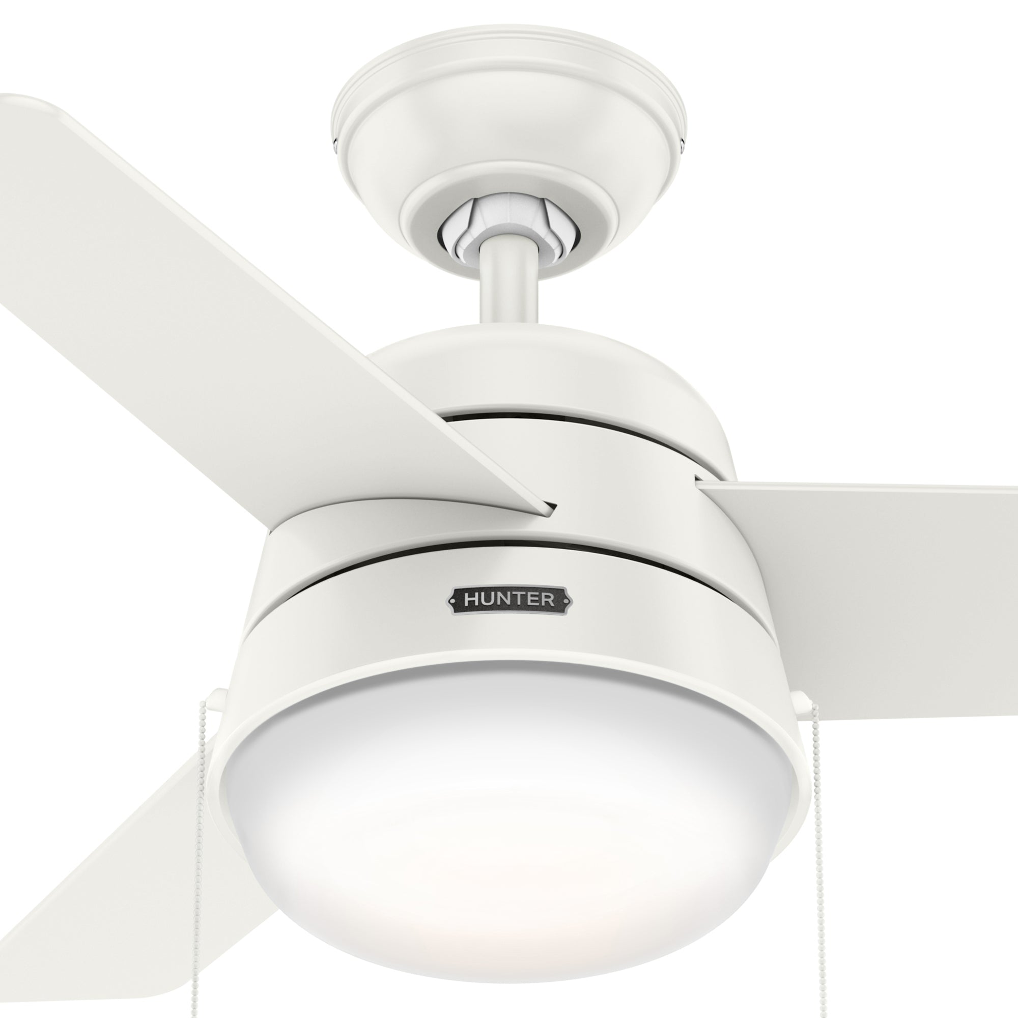 Aker with LED Light 36 inch