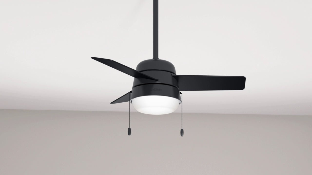 Aker with LED Light 36 inch