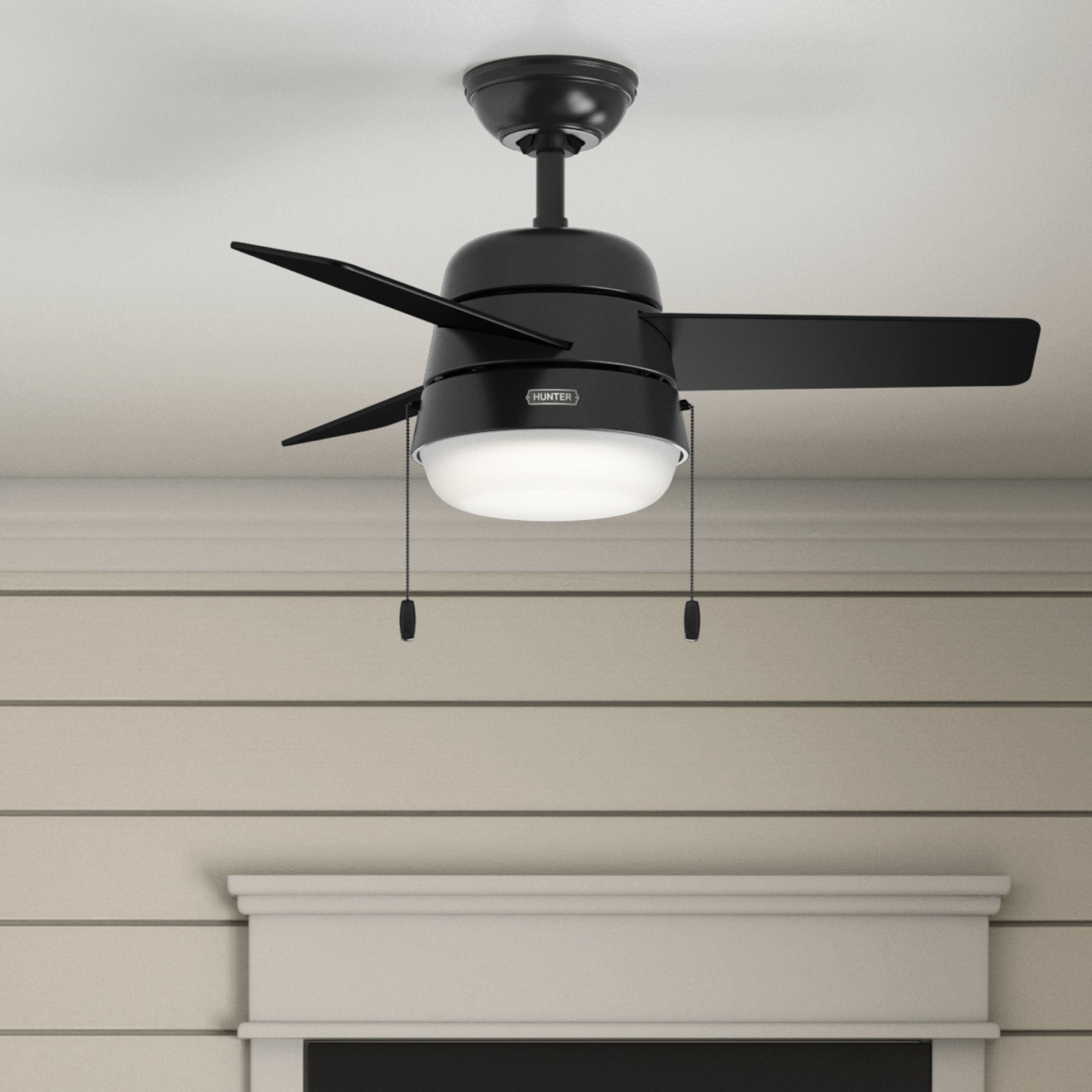 Aker with LED Light 36 inch