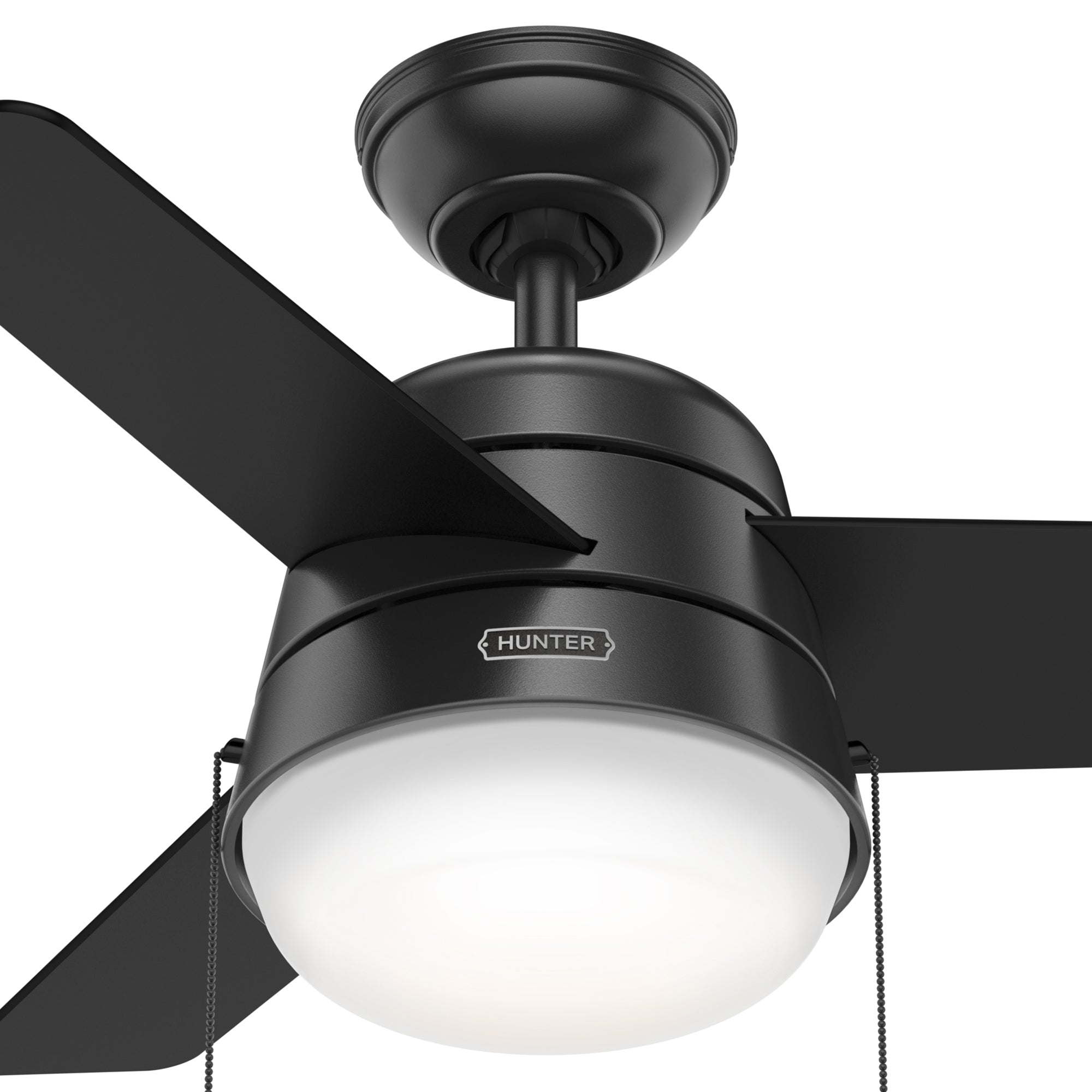 Aker with LED Light 36 inch