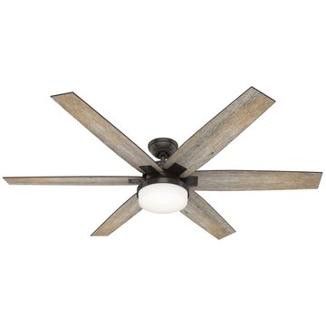 Kaplan with Light 64 inch (Refurbished)
