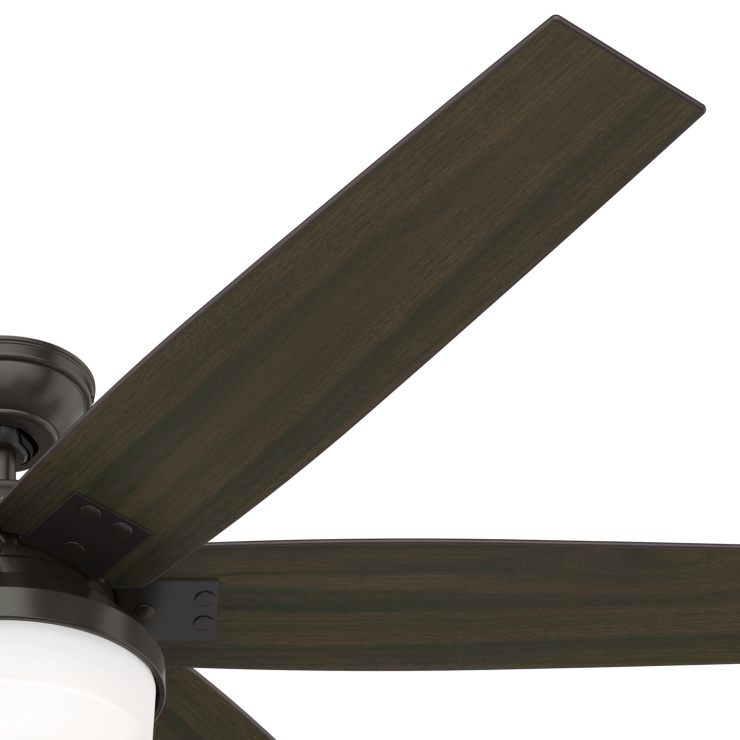Kaplan with Light 64 inch (Refurbished)