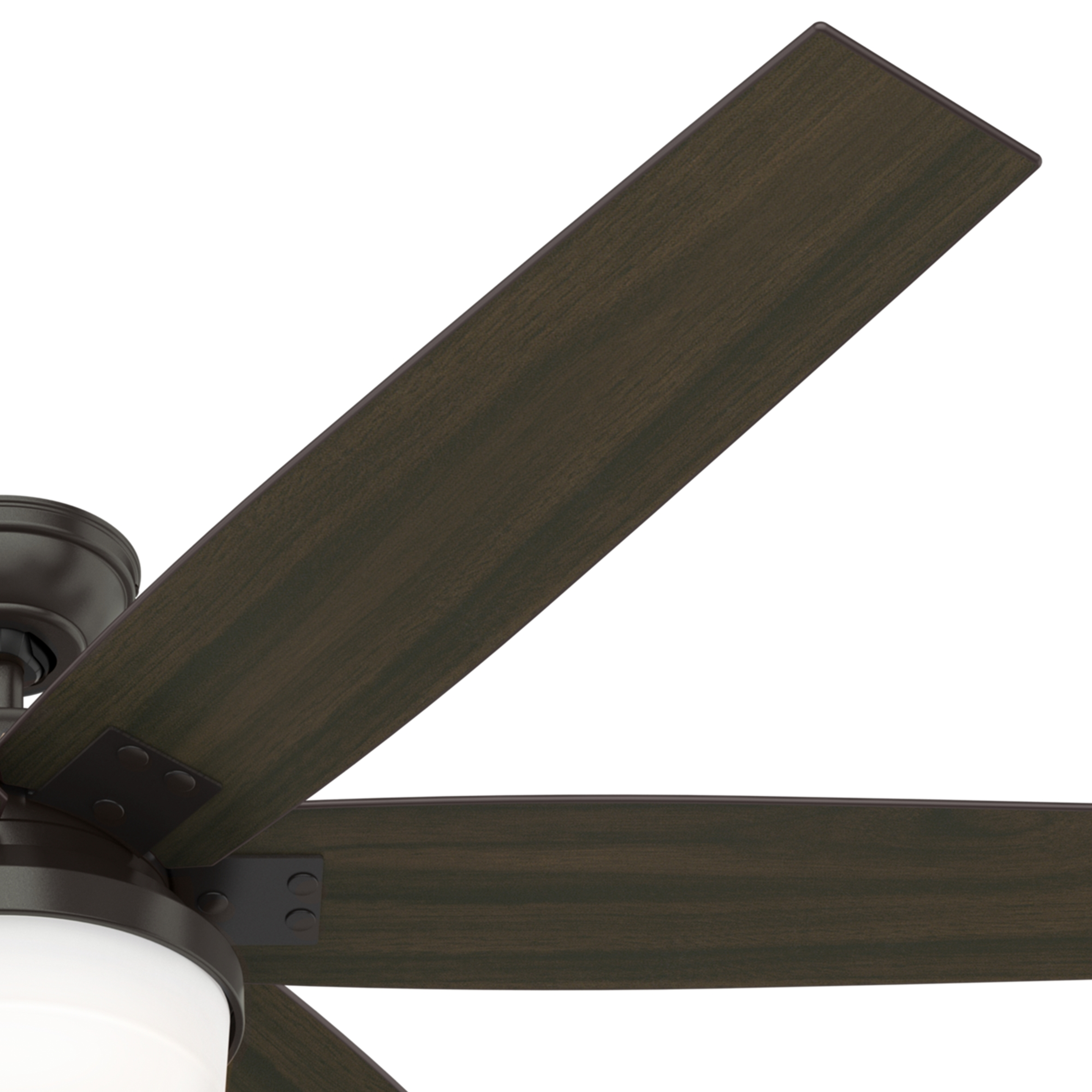 Kaplan with Light 64 inch (Refurbished)