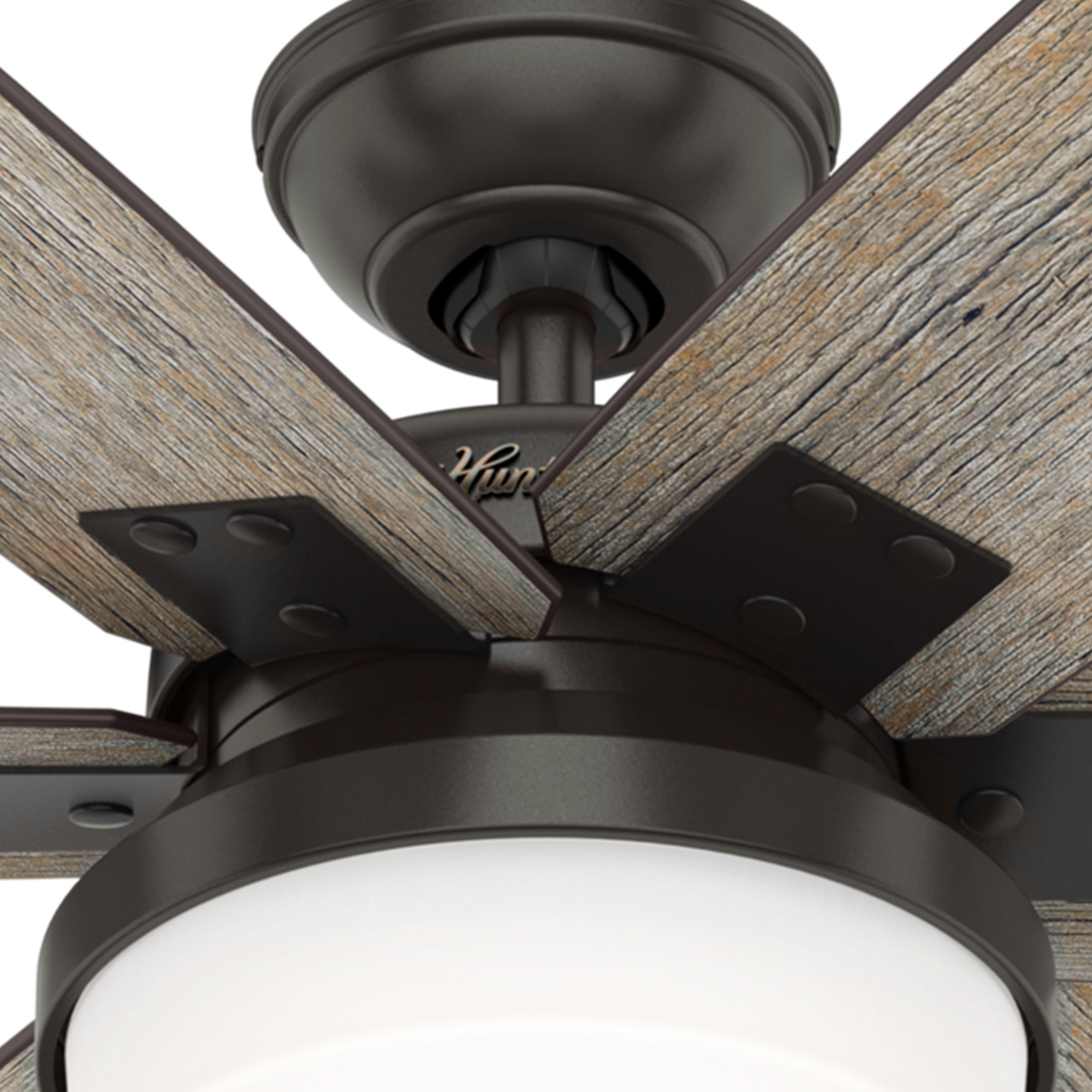 Kaplan with Light 64 inch (Refurbished)
