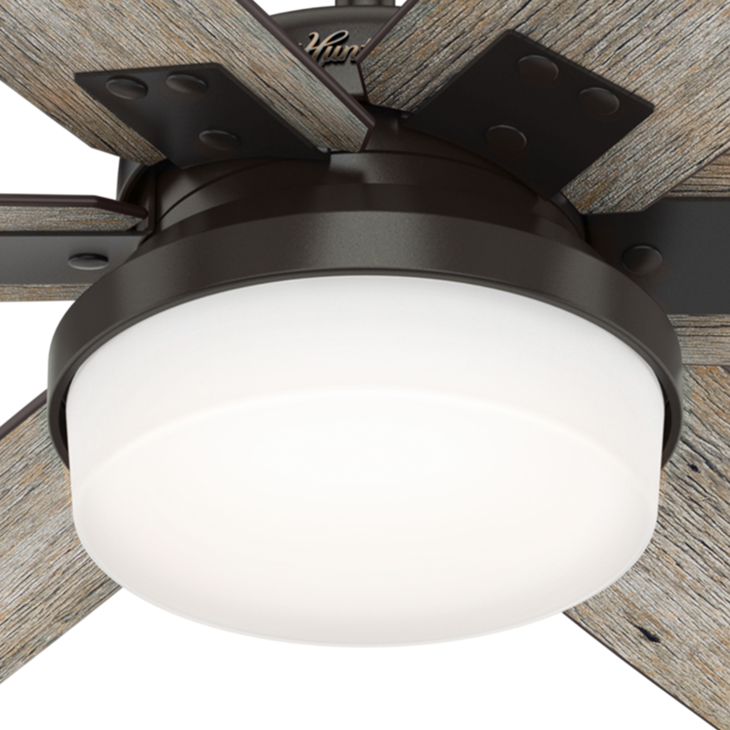 Kaplan with Light 64 inch (Refurbished)