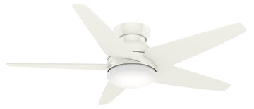 Isotope with LED Light 52 inch