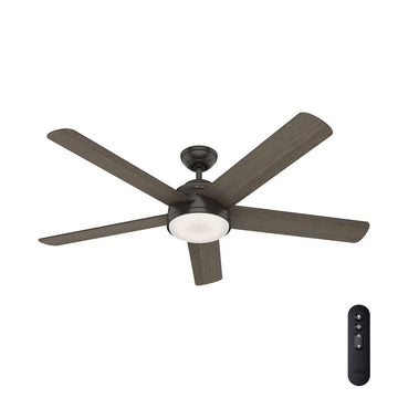 Romulus with LED Light 60 inch