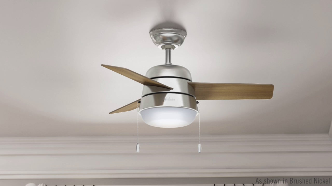 Aker with LED Light 36 inch