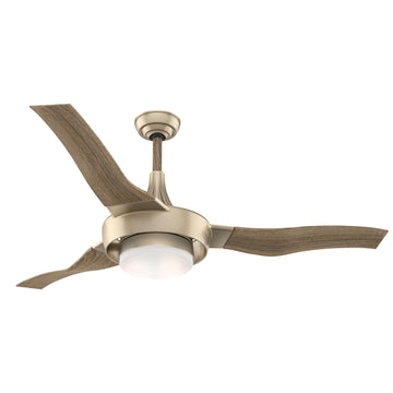 Perseus Outdoor with LED Light 64 inch