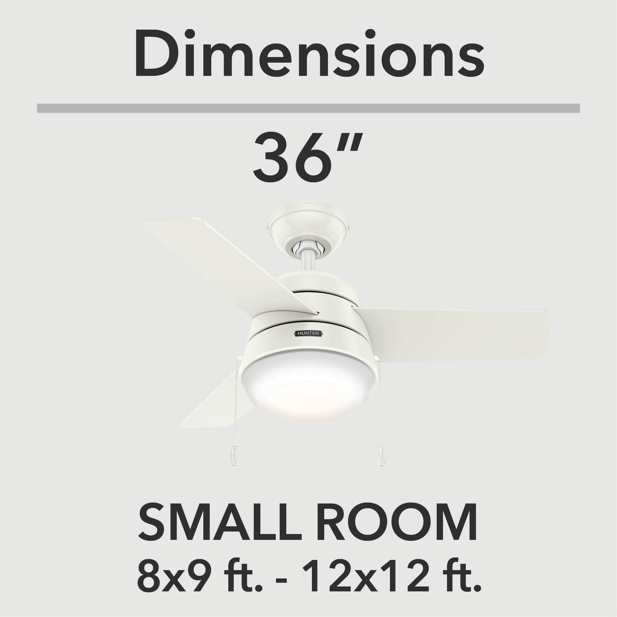 Aker with LED Light 36 inch