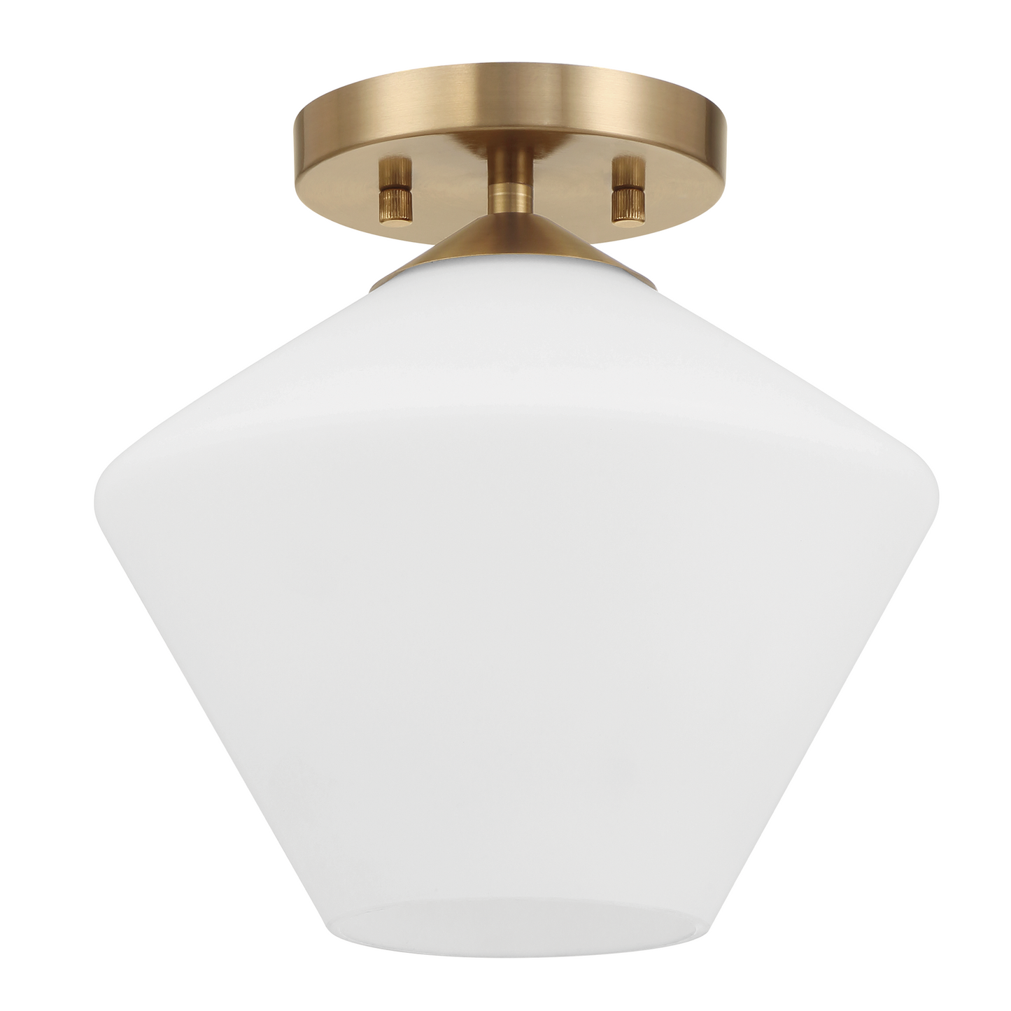 Celestial Valley 1 Light Small 10 Inch Flush